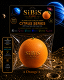 ORANGE - SIBIS CITRUS Premium ASMR Sensory Ball